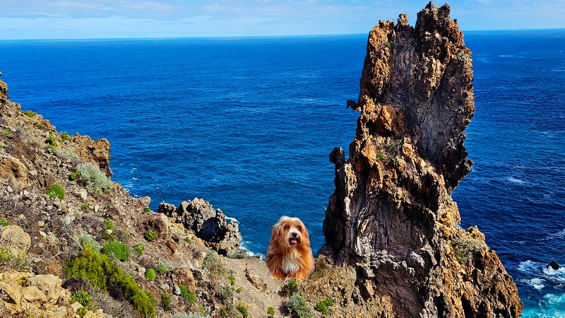 20260201_113342xsS-8