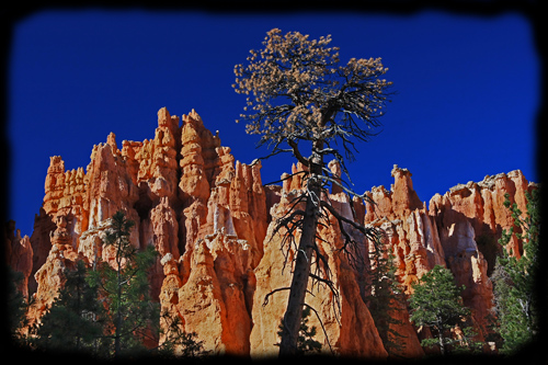 Bryce2007-073