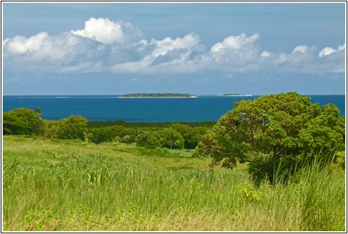 CoralCoast-05