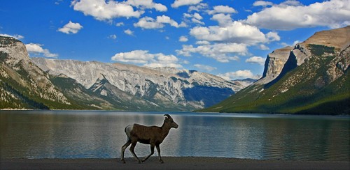 IMG_8422x.-Banff