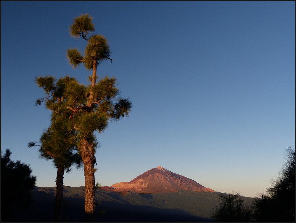 Teide-958