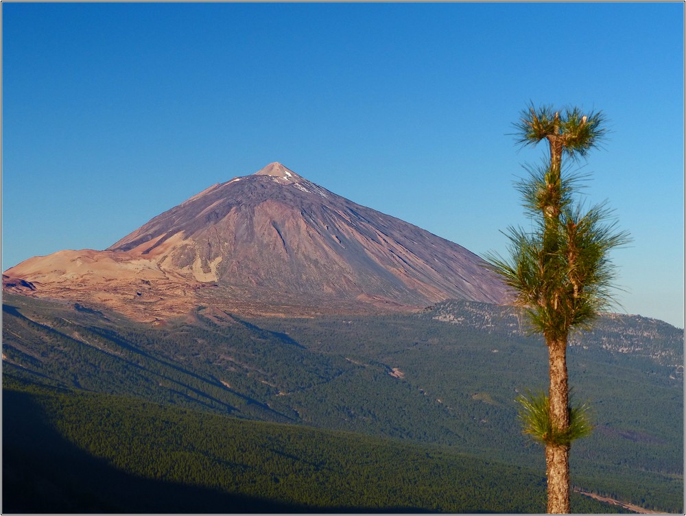 Teide-981