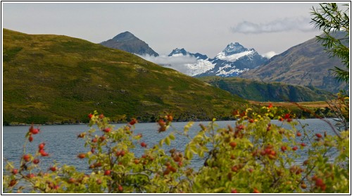 Wanaka-06