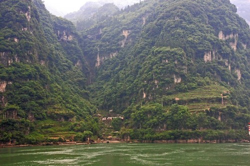 YangTse1-03