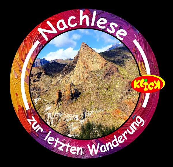 NachleseX-6