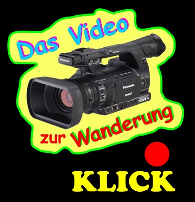 Video-zWx-4