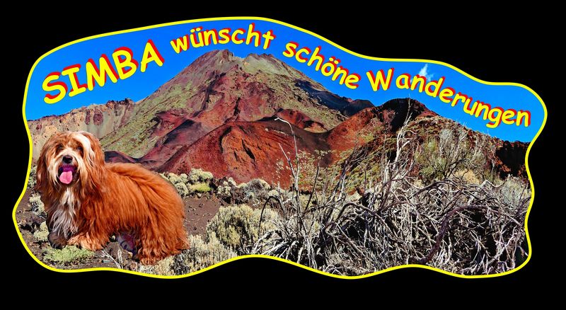 Wanderhund8